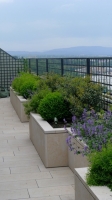 Projet_Jardins_jardin sur toit2